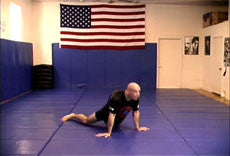 Bas Rutten's MMA Workout (Preowned) - Budovideos Inc