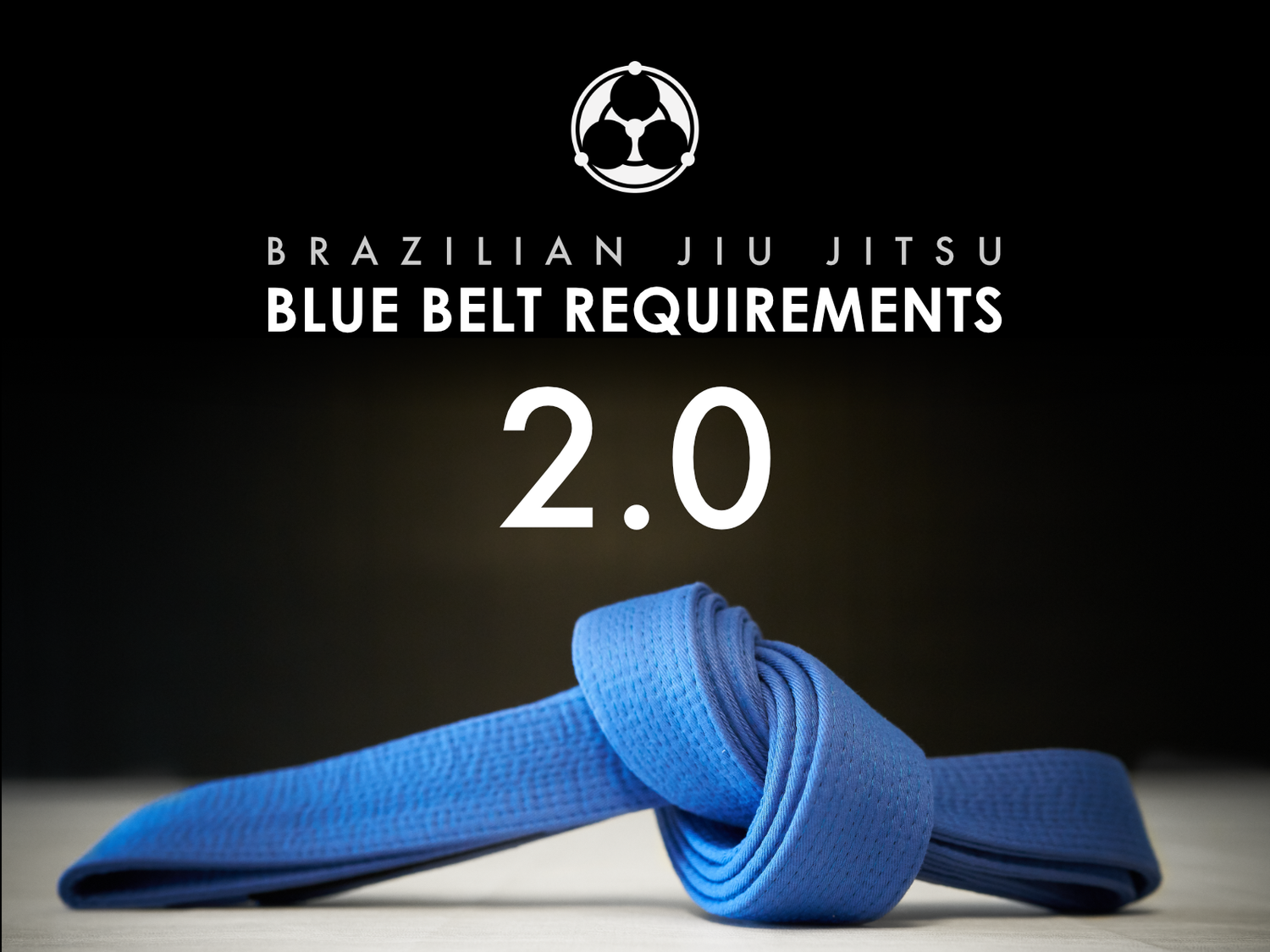 Blue Belt Requirements 2.0 by Roy Dean (On Demand) - Budovideos Inc
