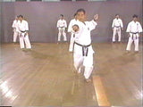 Mastering Shotokan Karate 10 DVD Set with Kenneth Funakoshi - Budovideos Inc