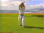 Mastering Shotokan Karate 10 DVD Set with Kenneth Funakoshi - Budovideos Inc
