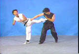 Choy Lay Fut Kung Fu 17 DVD Set by Tat-Mau Wong - Budovideos Inc