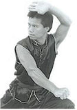 Choy Lay Fut Kung Fu 17 DVD Set by Tat-Mau Wong - Budovideos Inc