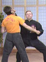 Hsing-I 10 DVD set with James McNeil - Budovideos Inc