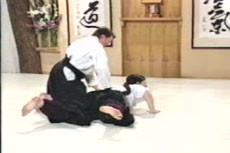 Aikido Principles & Techniques by Mary Heiny (On Demand) - Budovideos Inc