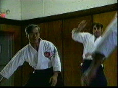 Mitsugi Saotome: Principles of Aikido DVD - Budovideos Inc