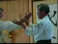 The Principles of Aikido with Mitsugi Saotome (On Demand) - Budovideos Inc