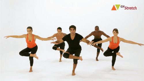 Ginastica Natural: Training Workout 8 DVD Set - Budovideos Inc