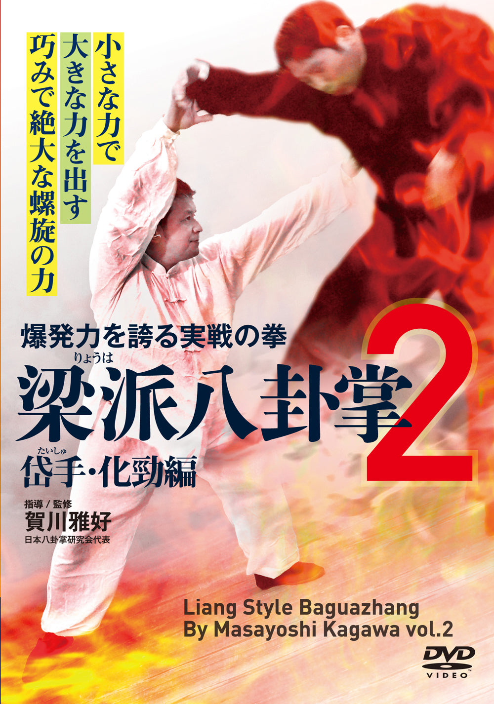 Liang Style Baguazhang Vol 2 DVD by Masayoshi Kagawa - Budovideos Inc