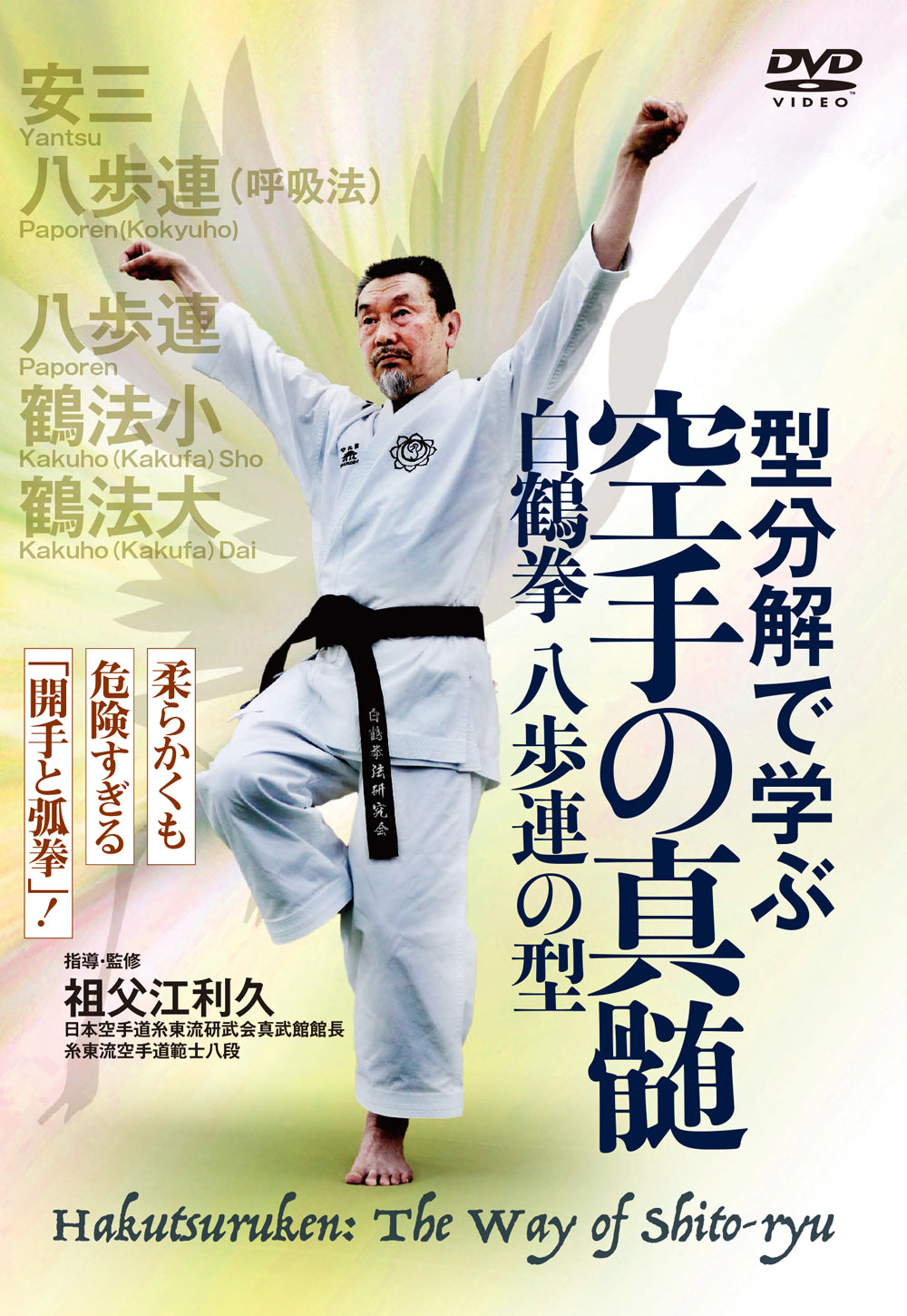 Hakutsuru Ken (White Crane) DVD 2: Way of Shito Ryu by Sobue Toshihisa