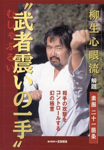 Yagyu Shingan Ryu Taijutsu DVD with Akira Yoshida - Budovideos Inc