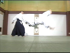 Tsuneo Ando: Yoshinkan Aikido DVD - Budovideos Inc