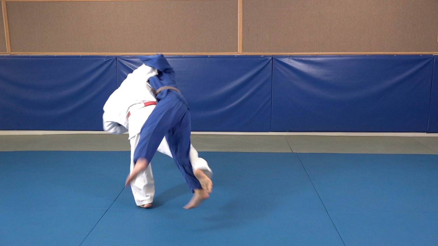 67 Throws of Kodokan Judo by Juan Montenegro (On Demand) - Budovideos Inc