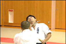 Fuji Ryu Taijutsu DVD by Koshiro Tanaka - Budovideos Inc