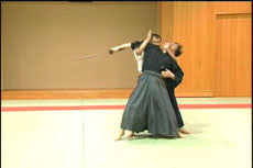 Fuji Ryu Taijutsu DVD by Koshiro Tanaka - Budovideos Inc