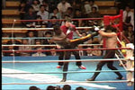 Shootboxing 20th Anniversary Blue Corner DVD - Budovideos Inc