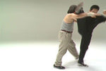 Taikiken DVD with Michio Shimada - Budovideos Inc