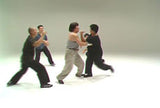 Taikiken DVD with Michio Shimada - Budovideos Inc