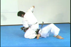 Vale Tudo Karate DVD by Takashi Ozawa - Budovideos Inc
