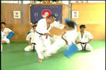 Enshin Method Vol 2 DVD with Joko Ninomiya - Budovideos Inc