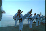 Enshin Method Vol 2 DVD with Joko Ninomiya - Budovideos Inc
