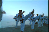 Enshin Method Vol 2 DVD with Joko Ninomiya - Budovideos Inc