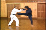 Jiseido New Karate Theory Basics and Kumite 2 DVD Set  by Kenji Tokitsu - Budovideos Inc