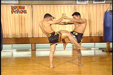Super Muay Thai Techniques Vol 2 DVD - Budovideos Inc