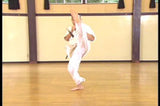 Kakuto Karate Daidojuku Vol 1 DVD - Budovideos Inc