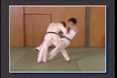 Kakuto Karate Daidojuku Vol 2 DVD - Budovideos Inc
