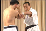 Hakuren Kaikan Best of Kumite DVD - Budovideos Inc