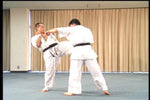 Hakuren Kaikan Best of Kumite DVD - Budovideos Inc