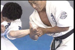 Hakuren Kaikan Gyakuwaza no Gokui DVD - Budovideos Inc