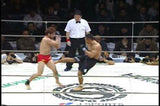 Shooto Best of 2004 Vol 2 DVD - Budovideos Inc