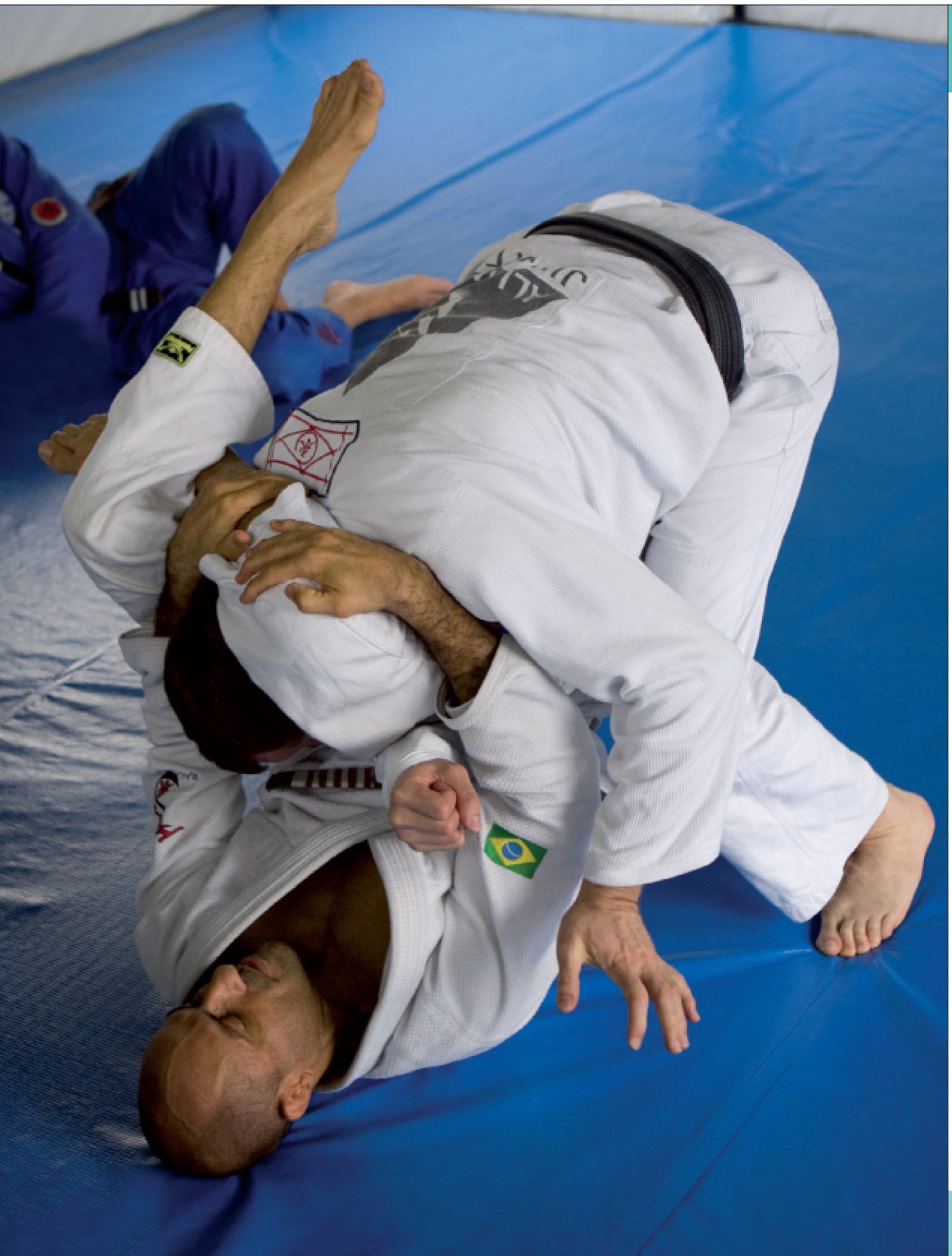 Brazilian Jiu-Jitsu: The Ultimate Guide to Dominating BJJ & MMA Book by Alexandre Paiva - Budovideos