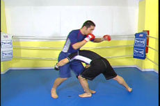 Complete Advanced MMA Instruction by Naoya Uematsu - Budovideos Inc