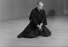 Intro to the Way of Eternal Budo DVD - Budovideos Inc