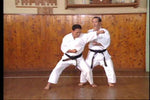 Motobu Ryu Karate Jutsu DVD - Budovideos Inc