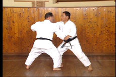 Motobu Ryu Karate Jutsu DVD - Budovideos Inc