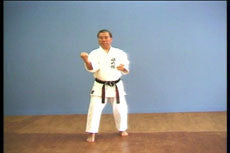 Complete Okinawa Yawara Ryu Karate Do Kata DVD by Kuniyuki Kai - Budovideos Inc