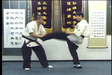 Jissen Kempo Taikiken DVD with Isato Kubo - Budovideos Inc