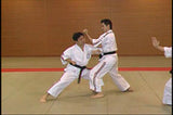 Koshiki Karatedo DVD by Masayuki Hisataka - Budovideos Inc