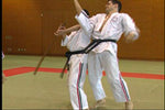 Koshiki Karatedo DVD by Masayuki Hisataka - Budovideos Inc