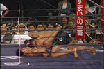 Shooto Best of 2005 Vol 2 DVD - Budovideos Inc