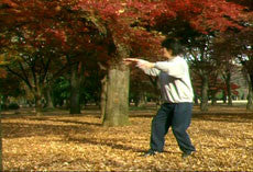 Taikiken DVD Vol 2: Standing Zen with Michio Shimada - Budovideos Inc