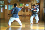 Ryukyu Kobudo Weapons DVD - Budovideos Inc