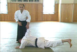 Essence of Kokyu Ryoku Vol 3 DVD with Gozo Shioda - Budovideos Inc