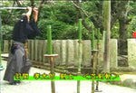 Koden Enshin Ryu Kumi Uchi Kenden DVD by Fumon Tanaka - Budovideos Inc