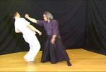 Principles of Yushin Ryu Bujutsu DVD by Shunya Nagano - Budovideos Inc