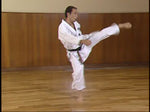 Shotokan Karate Complete Guide DVD 1 by Hirokazu Kanazawa - Budovideos Inc
