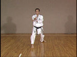 Shotokan Karate Complete Guide DVD 1 by Hirokazu Kanazawa - Budovideos Inc